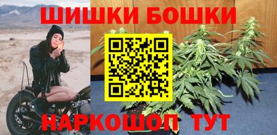 амф Камышлов