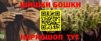 амф Камышлов