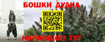 амф Камышлов