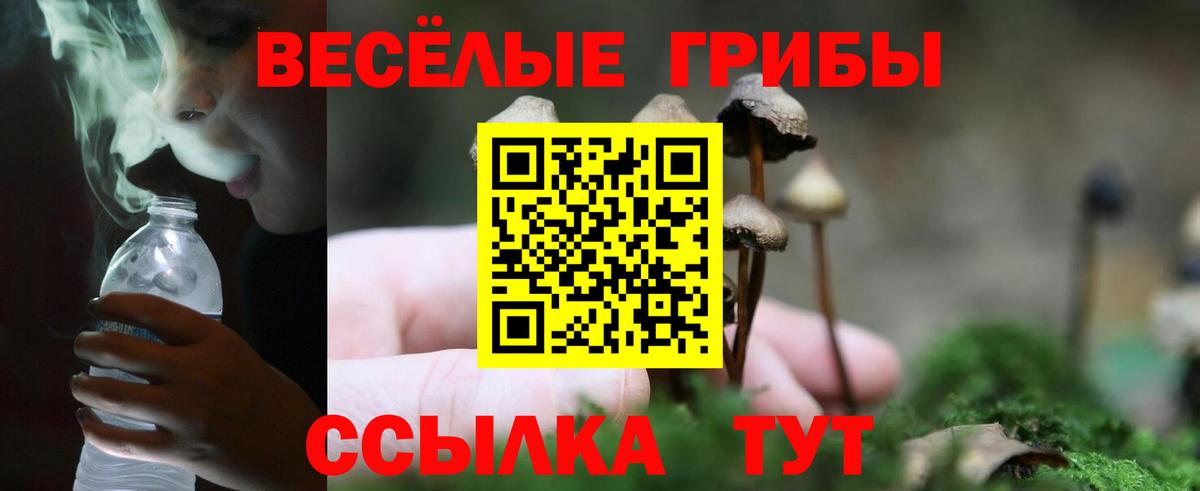 Галлюциногенные грибы мицелий  Вход с VPN  Галлюциногенные грибы Psilocybine cubensis  Куйбышев 